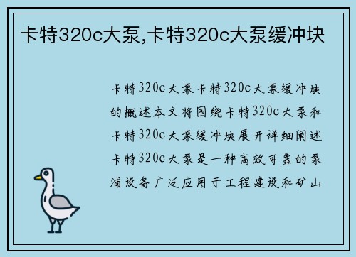 卡特320c大泵,卡特320c大泵缓冲块